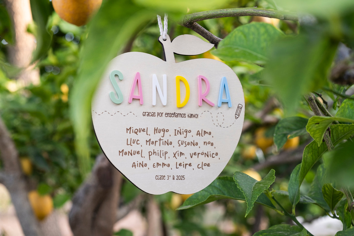 Manzana agradecimiento Profes